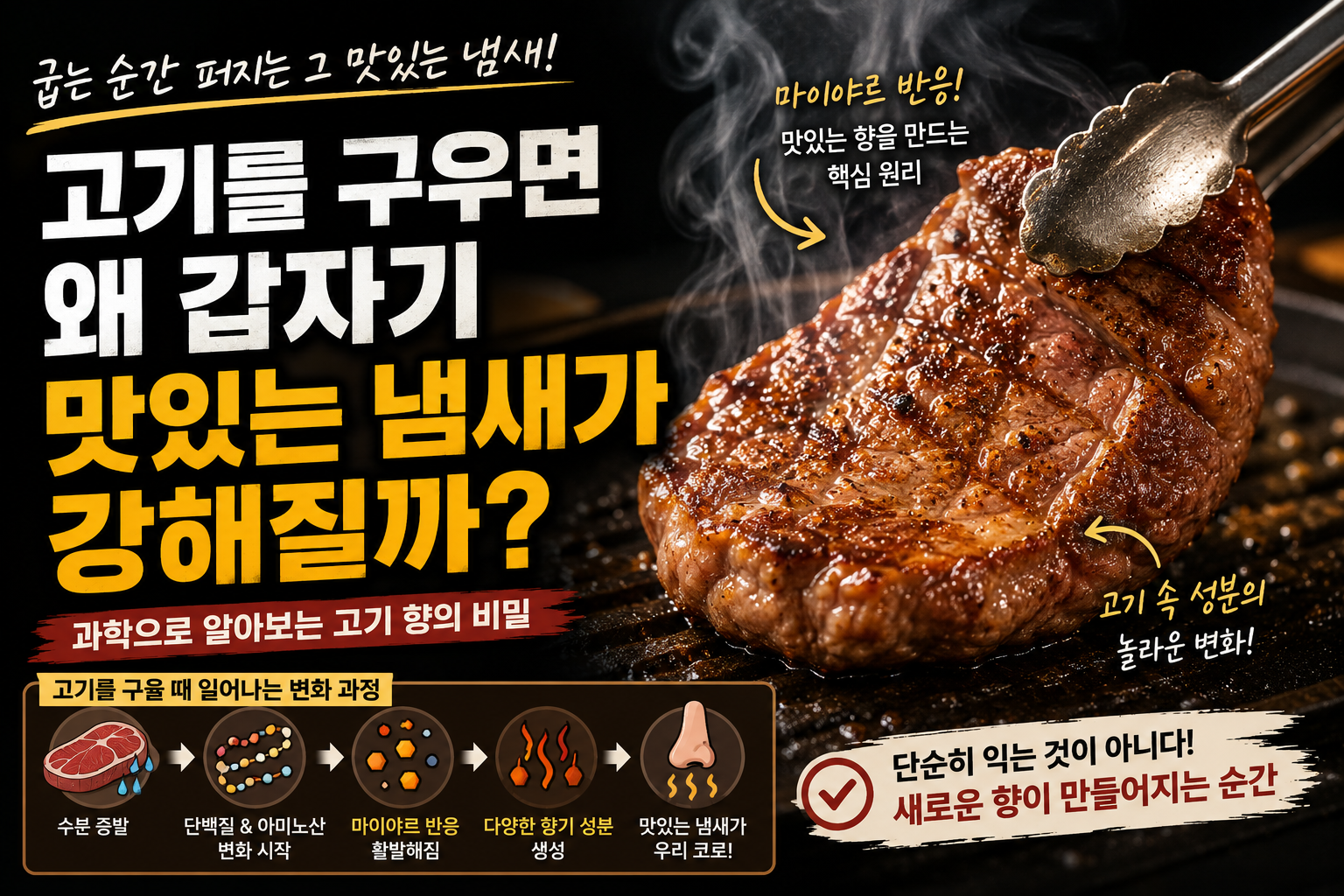 고기향의 과학 썸네일