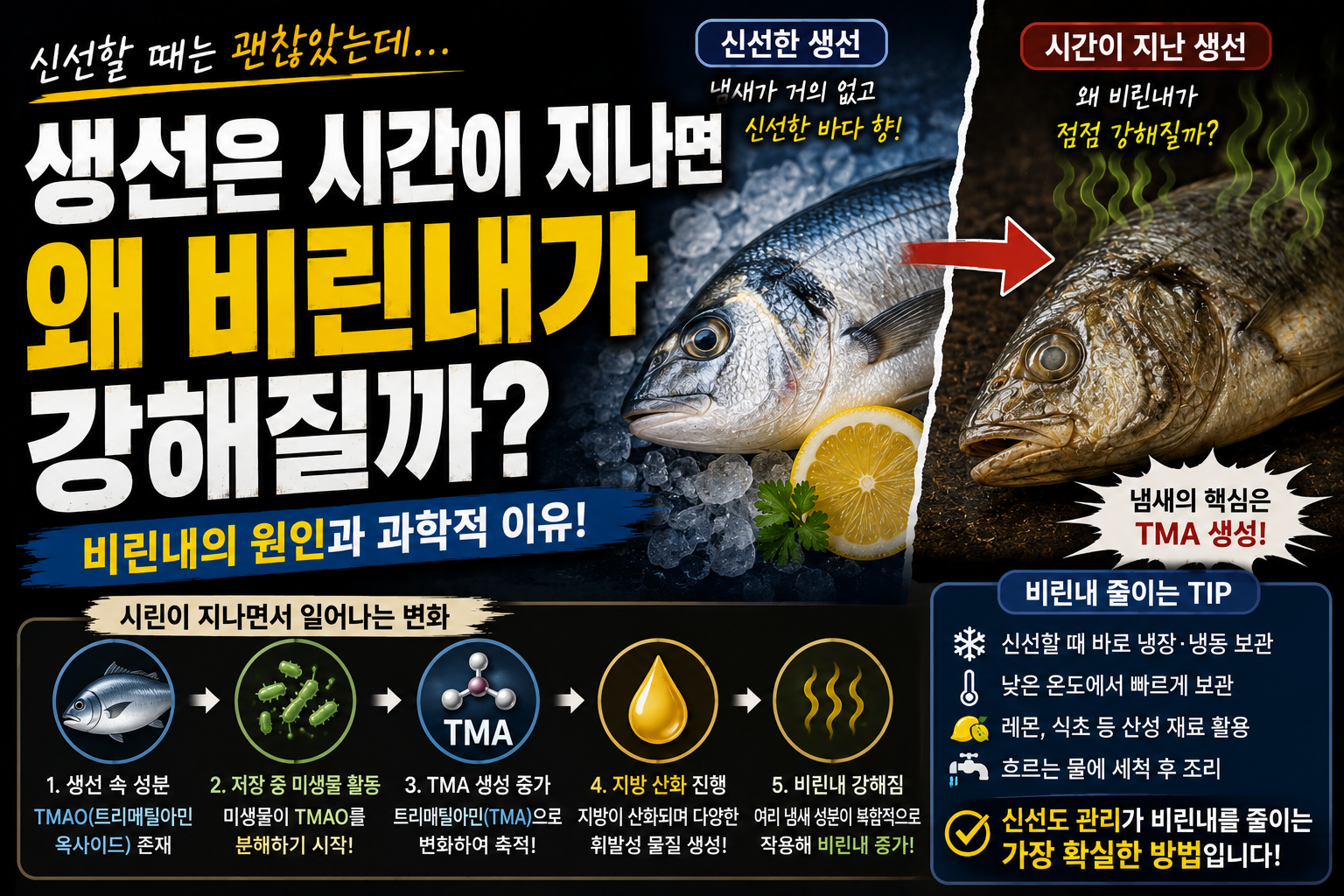 생선 비린내의 원인 썸네일